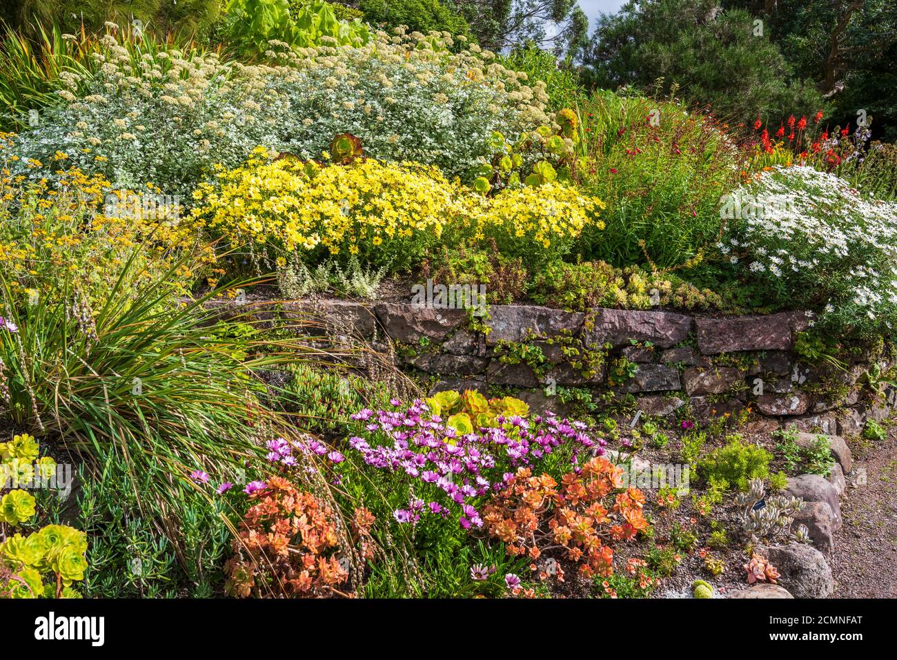 Colourful late summer flowers in Walled Garden at Inverewe Garden, Poolewe, Wester Ross, Scotland, UK Stock Photo
