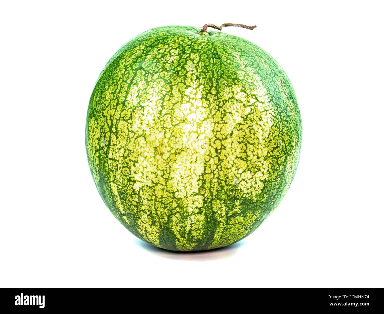 Green striped watermelon on a white background. Watermelon berry. Food ...