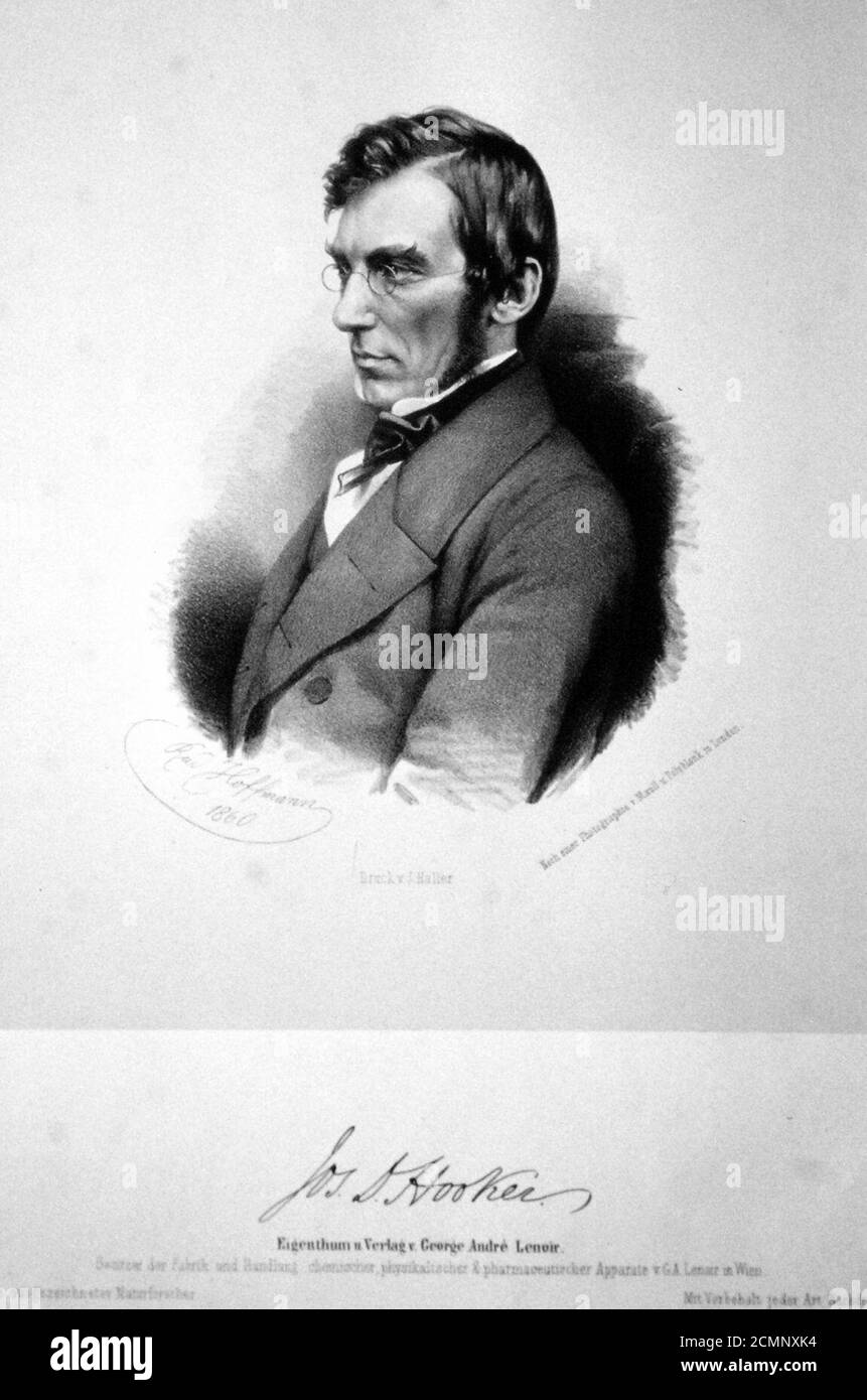 Joseph Dalton Hooker Litho. Stock Photo