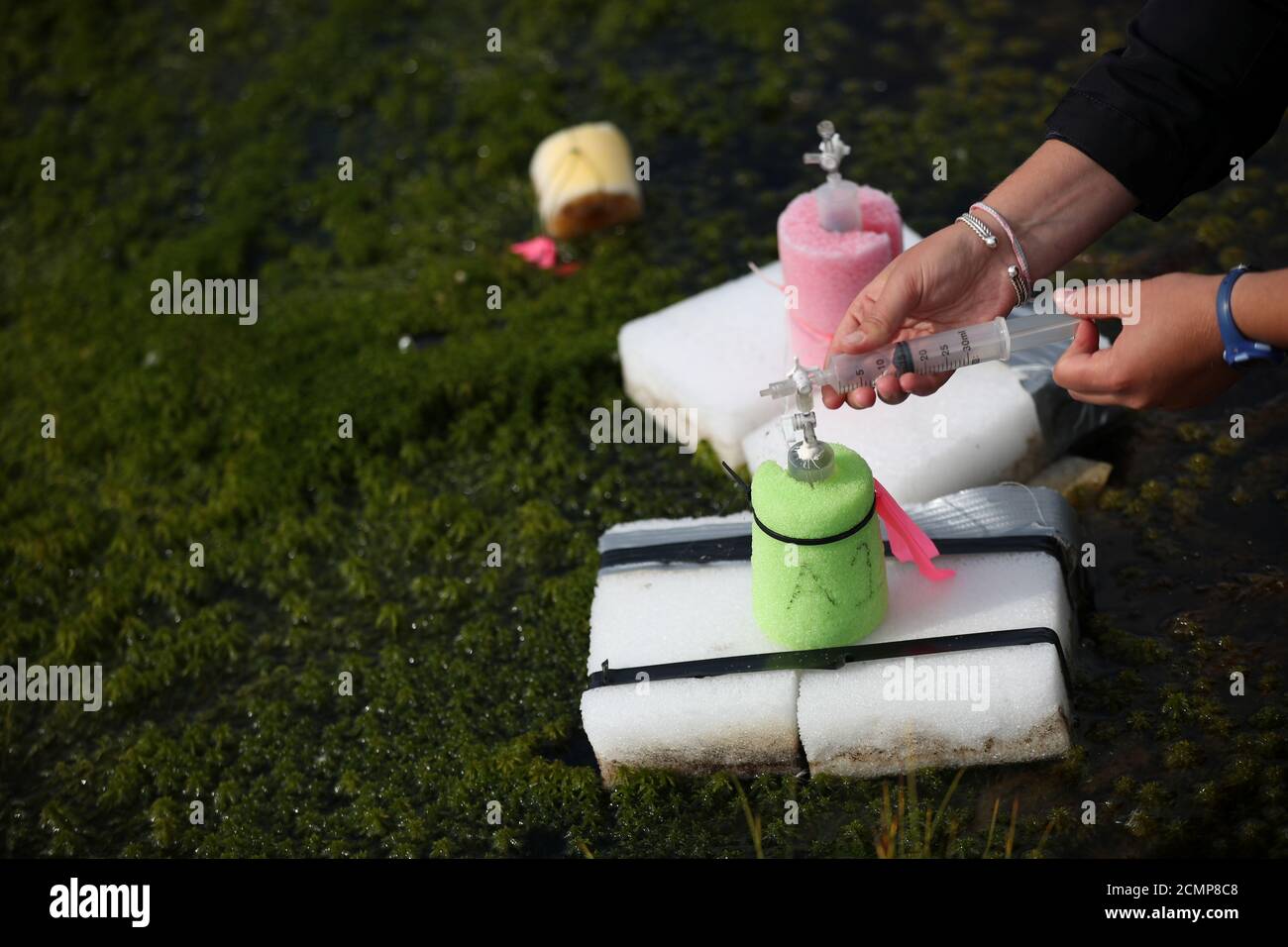 Kathryn Bennett A Postgraduate Student In Earth Sciences At The University Of New Hampshire Extracts Samples Of Methane From Funnels Placed In An Area Of Marshland At A Research Post At Stordalen