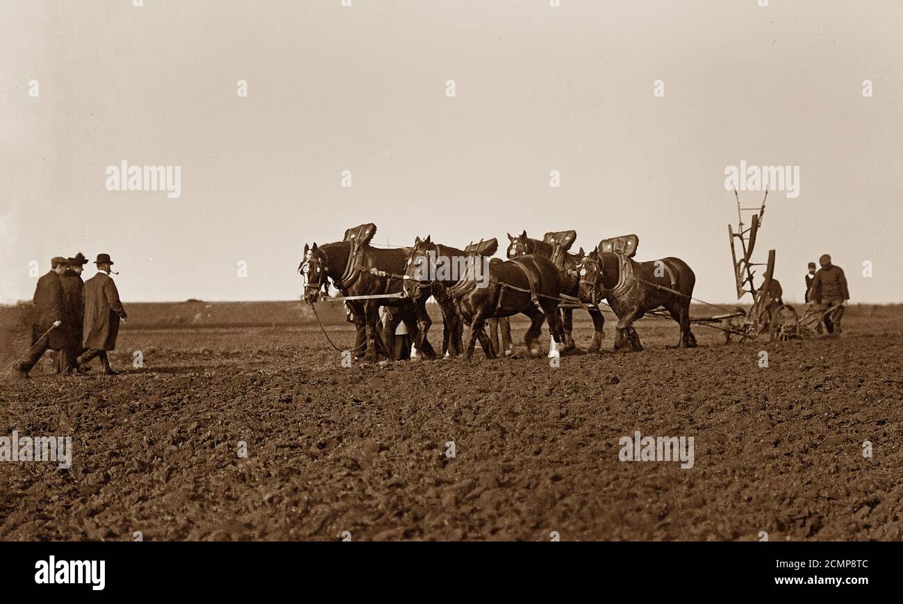 Edwardian horse drawn ploughing match, England Stock Photo