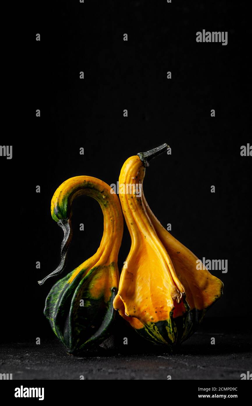 Two decorative pumpkins on a black background. Stock Photo