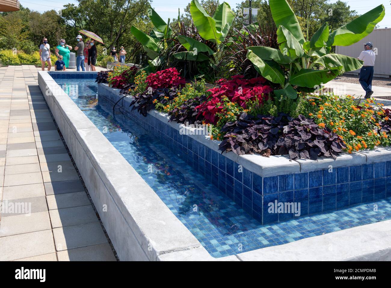 Louisville KY, USA 090720 A rectangular pool with a wide variety of
