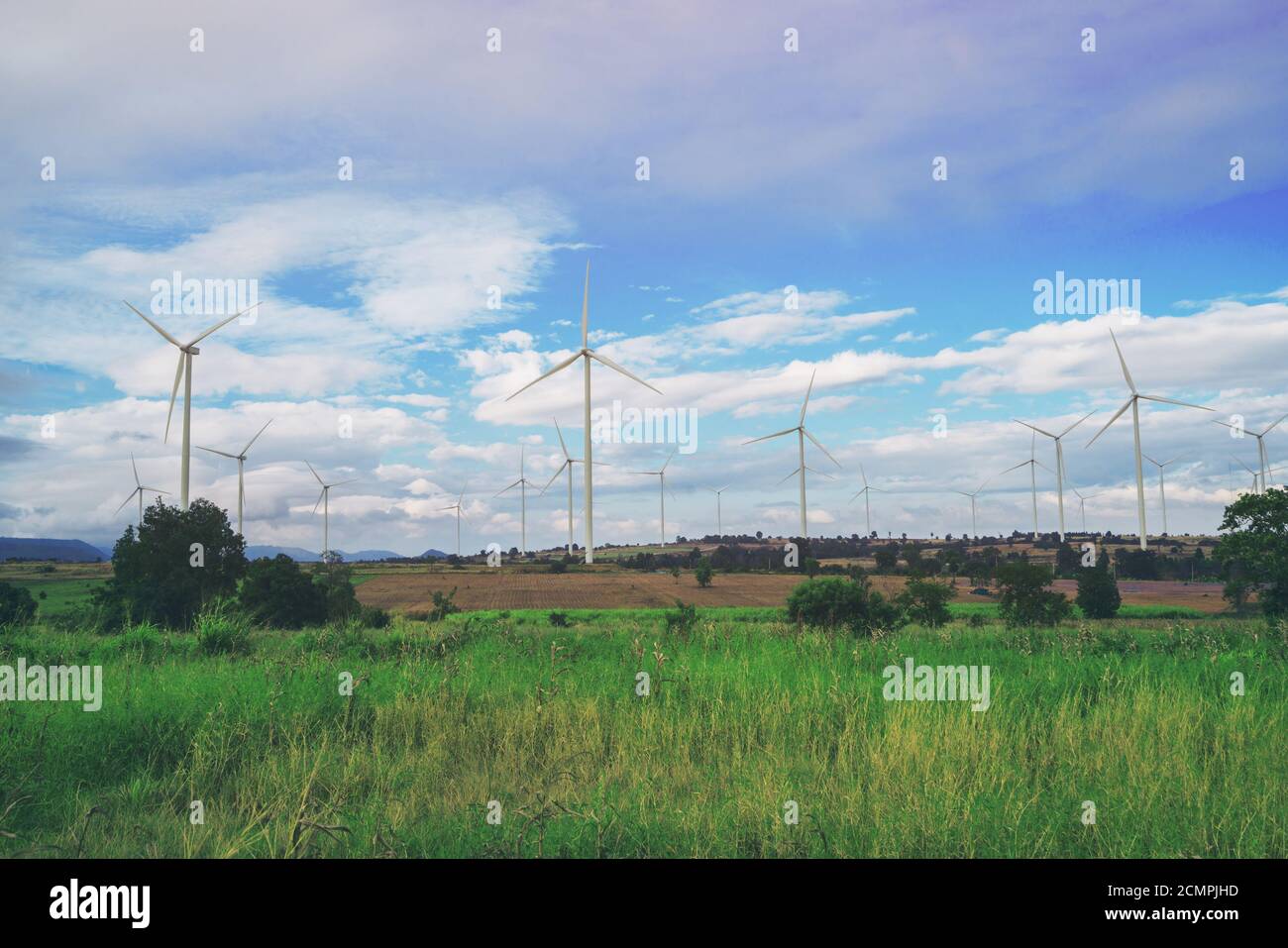Wind turbine farm. Sustainable development, environment friendly concept. Wind turbine farm give renewable energy, sustainable energy, alternative Stock Photo