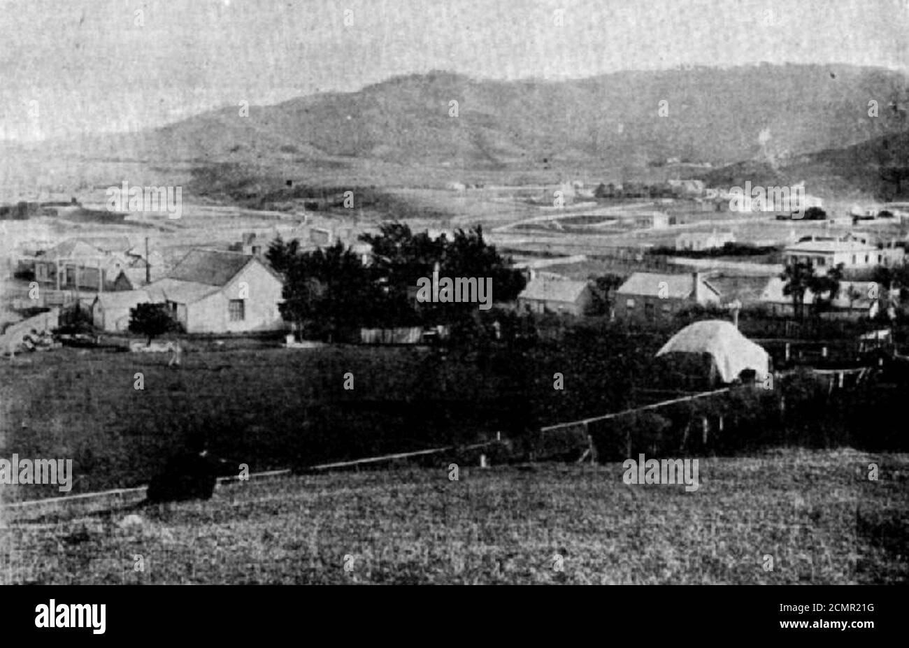 Johnsonville, Wellington circa 1885. Stock Photo