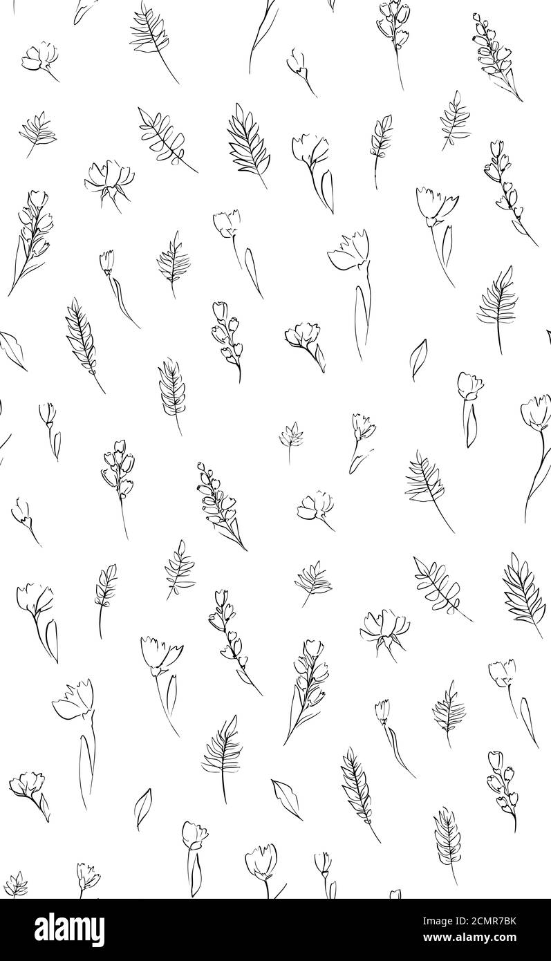 Floral seamless background pattern. Black and white spring flowers hand
