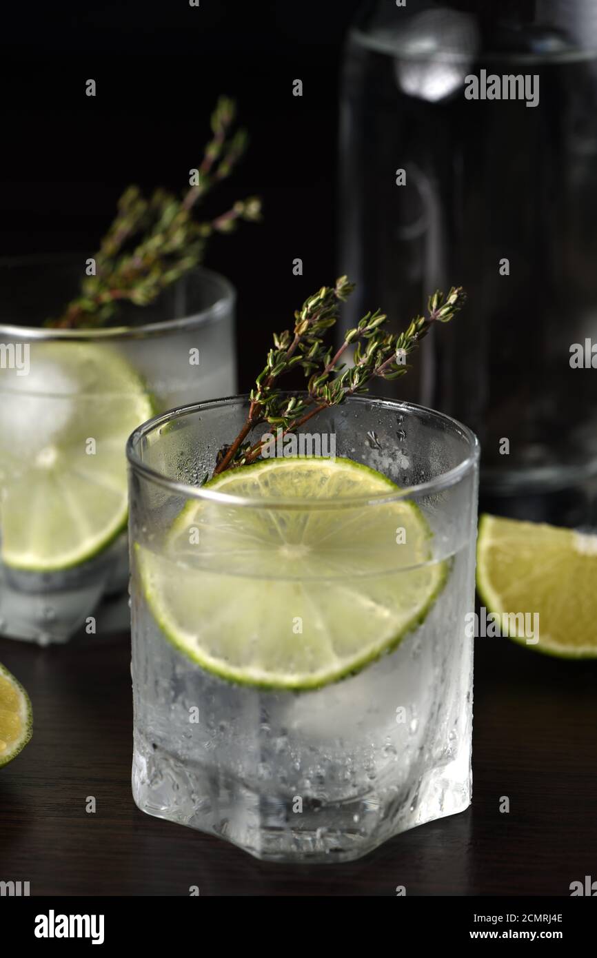 Gin and tonic with a slice of lime and sprigs of thyme Stock Photo Alamy