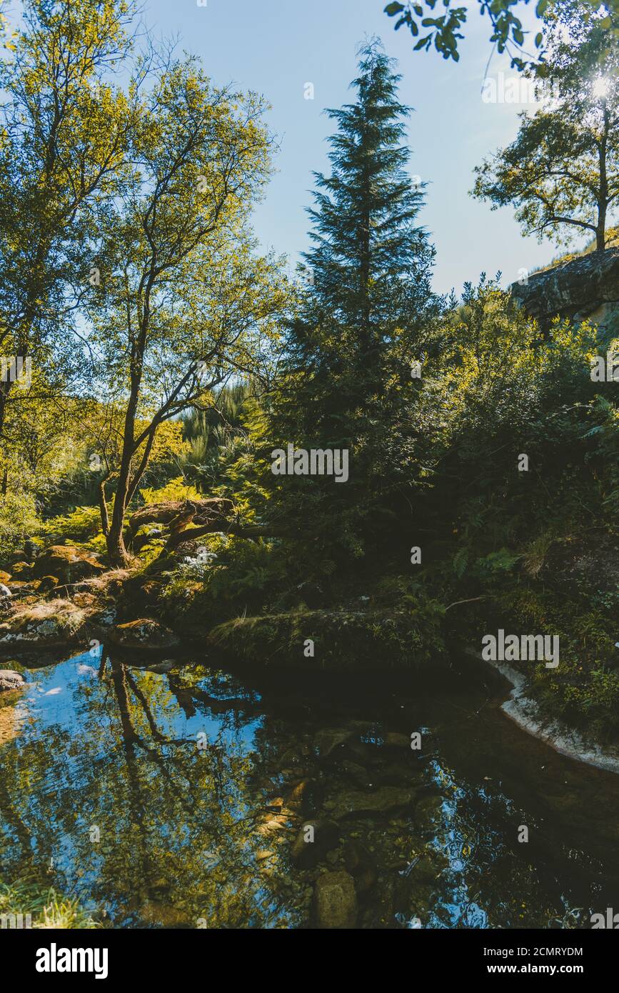 Beautiful view of a river flowing through a forest Stock Photo - Alamy