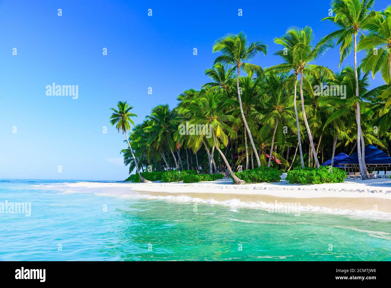 beautiful caribbean landscape with palm tree on the beach Stock Photo