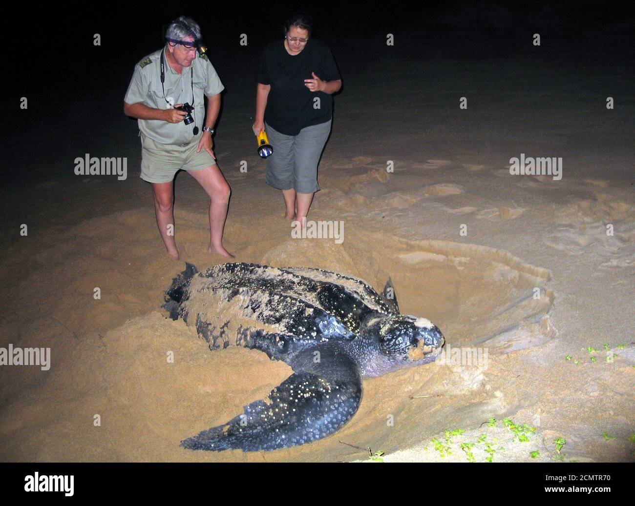 TO MATCH FEATURE ENVIRONMENT WARMING TURTLES - Jeff Gaisford of KZN wildlife (L), the conservation body of South Africa's KwaZulu-Natal province shows a tourist a nesting leatherback turtle in this picture taken on January 10, 2005 in Rocktail Bay. One of the oldest reptilian orders, stretching back 200 million years, turtles have been doing this for a very long time - and their resiliency raises questions about the impact of climate and sea level change on biodiversity. REUTERS/Ed Stoddard  RSS/JV Stock Photo