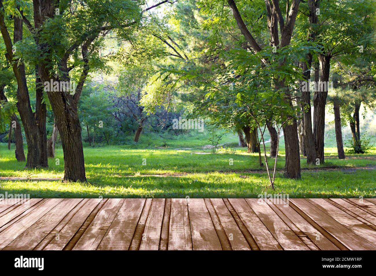 wooden podium, coming in autumn park Stock Photo