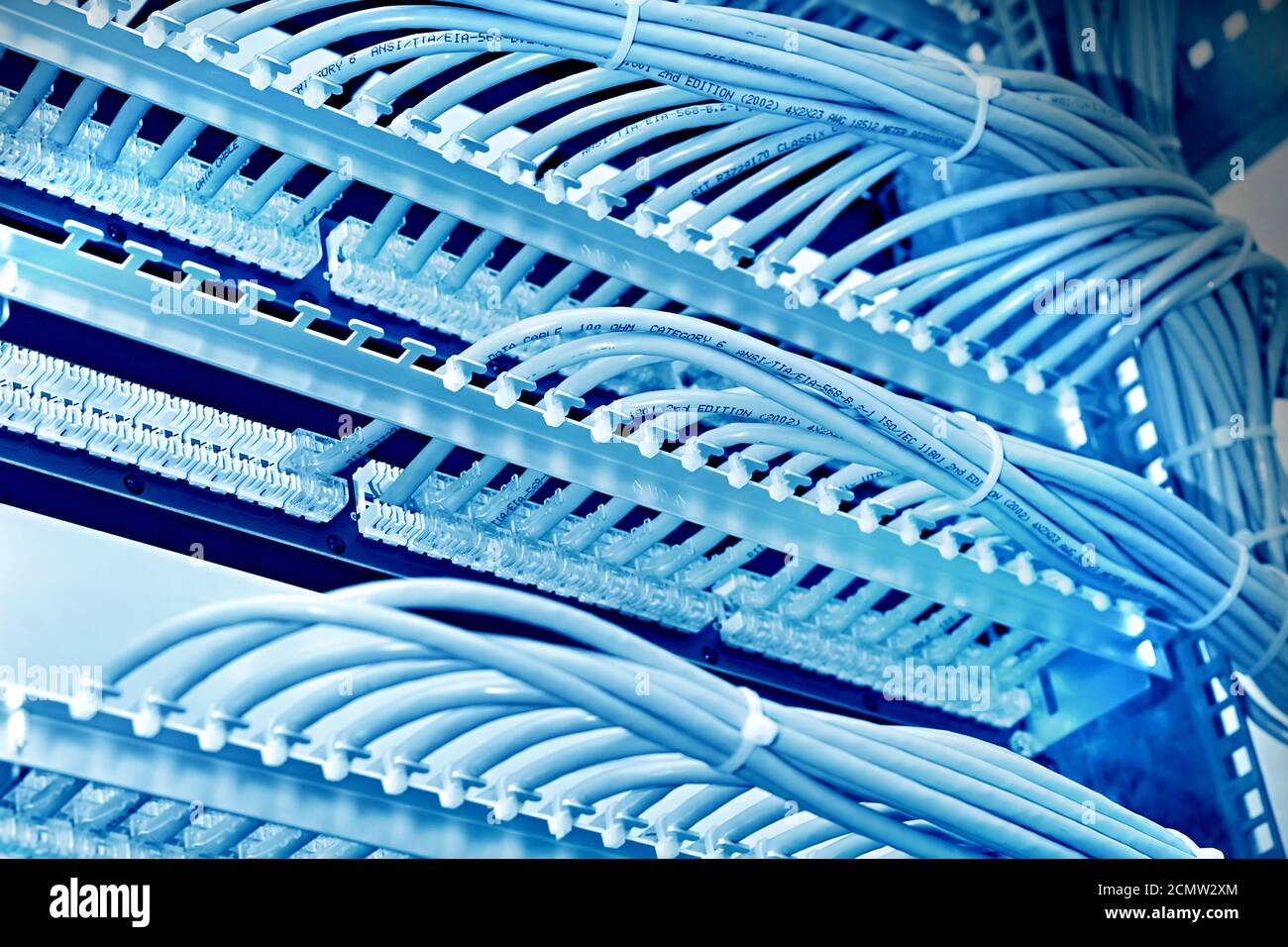 kind of wiring closet patch panels with 6th category in the background