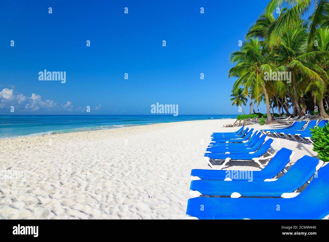 palm beach chaise longue Stock Photo