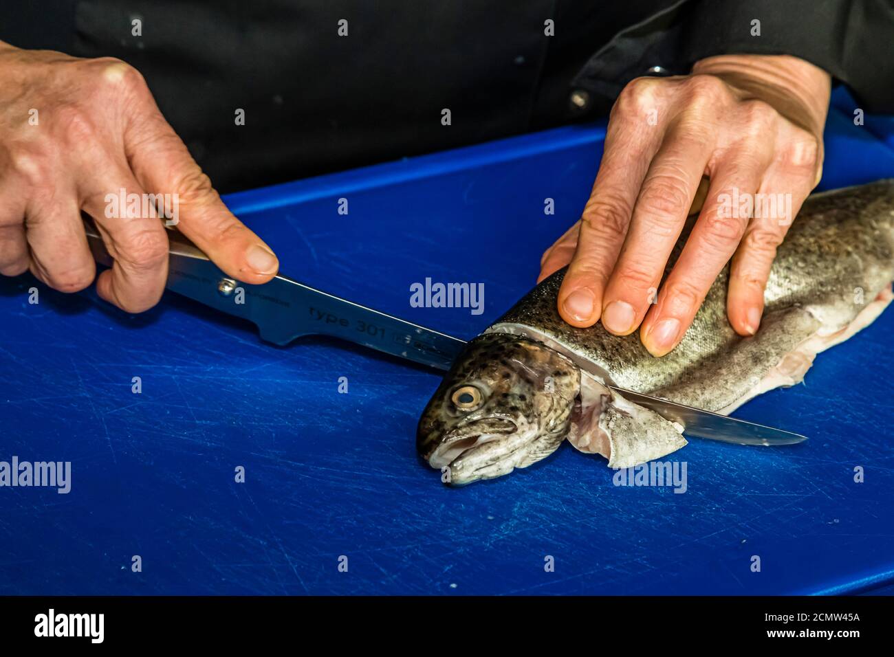 How do you fillet a trout? After removing the fins, the trout's head is cut off Stock Photo