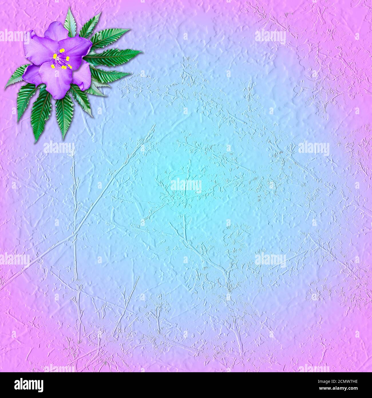 Pink-and-blue grungy background with flower violet Stock Photo