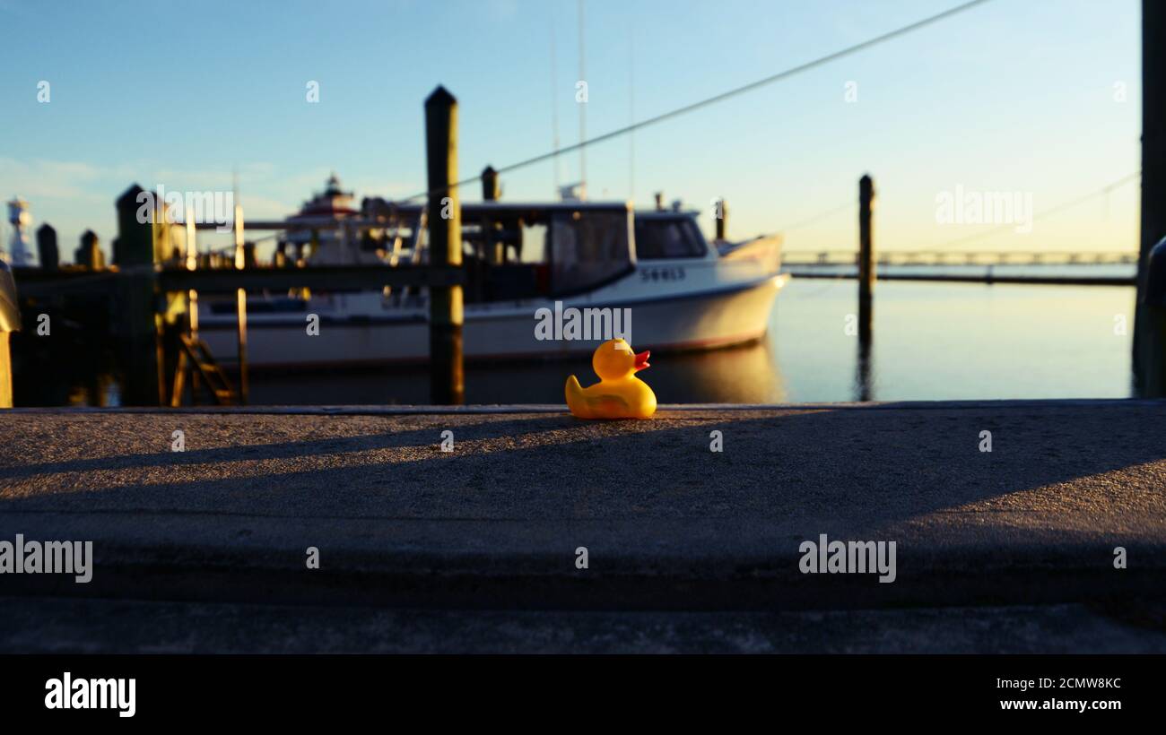 Rubber Ducky on the dock next to small boat in harbor, during morning. Stock Photo