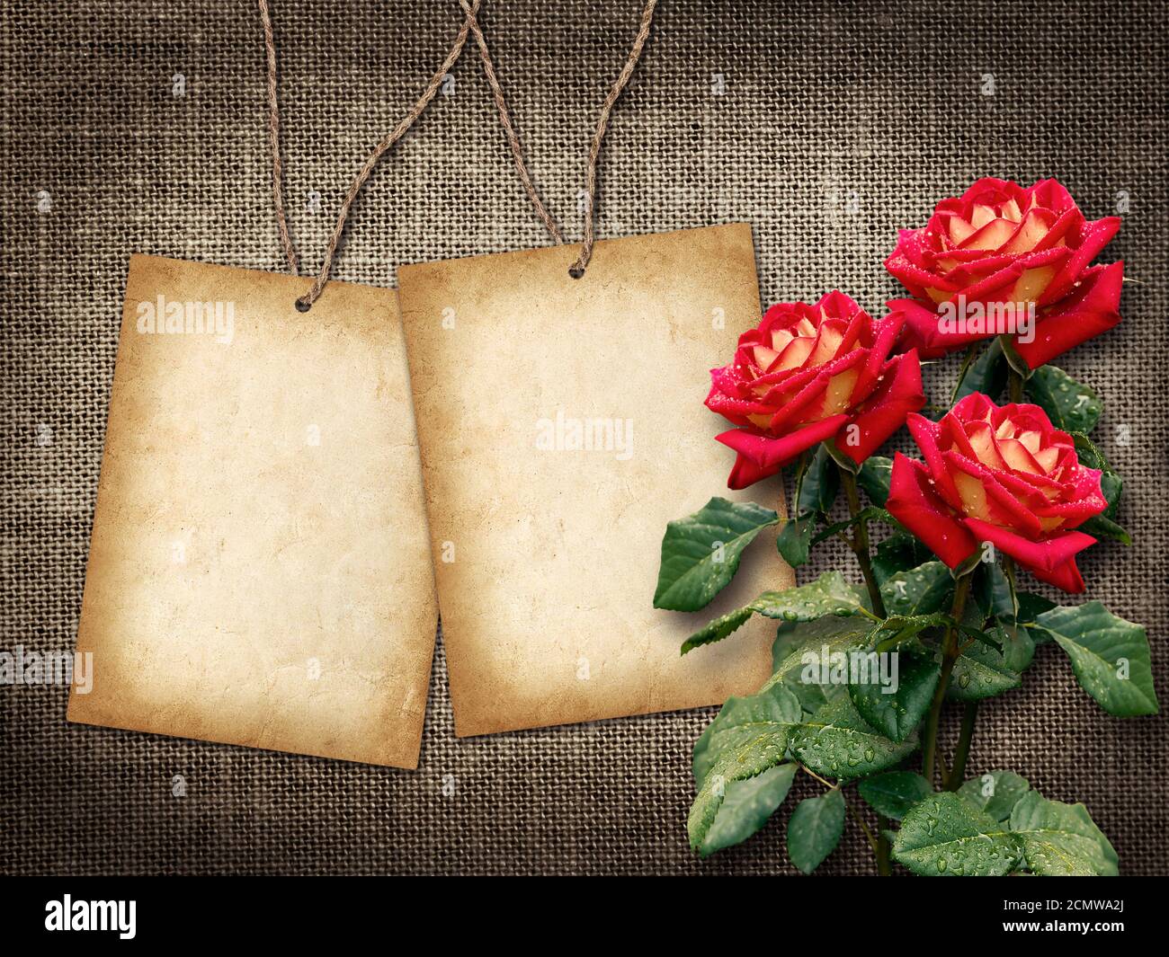 Card for invitation or congratulation with red roses in vintage style ...