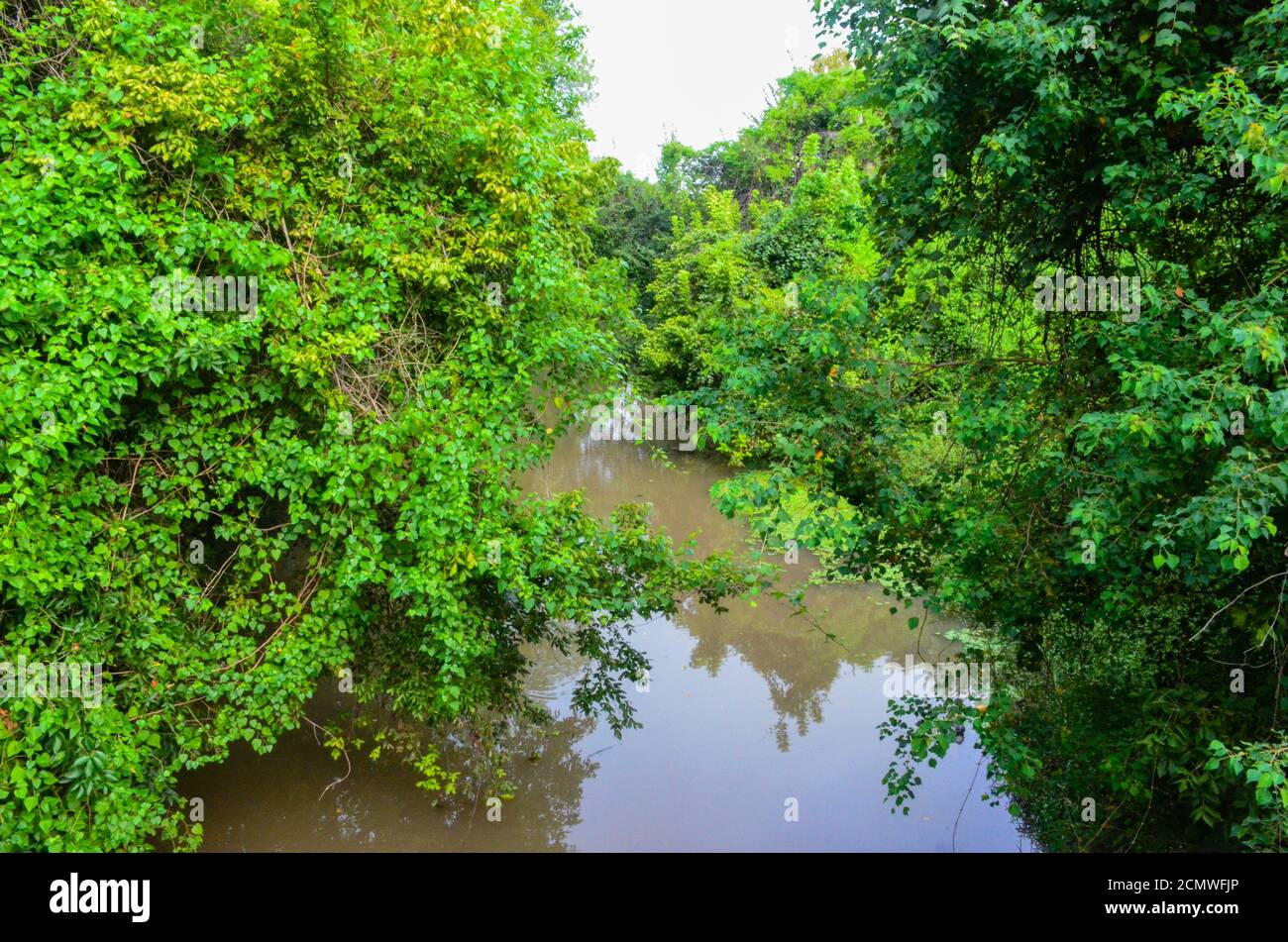 Oyster Creek Park, Sugar Land, Texas, USA. September 11, 2020 Stock