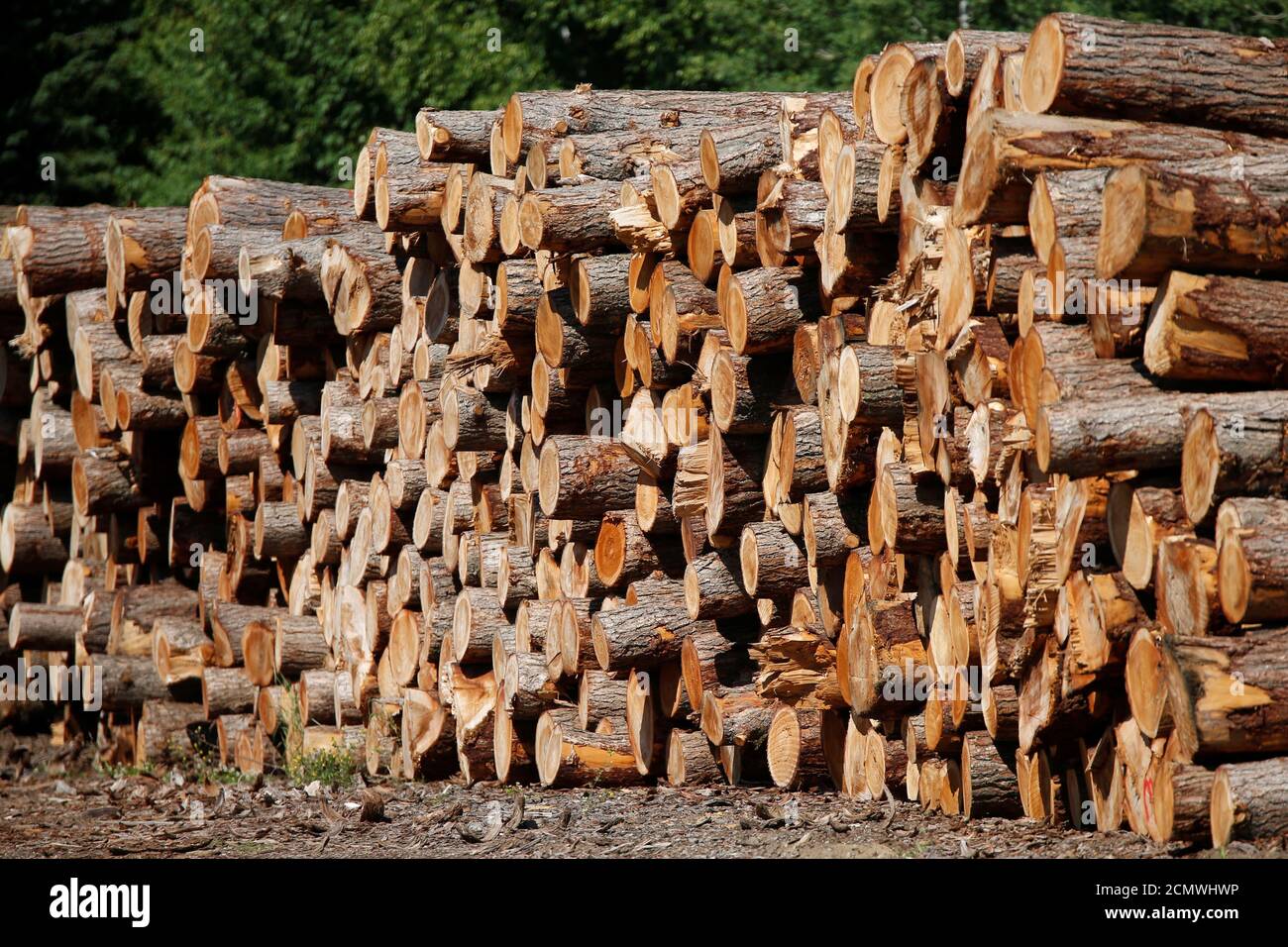 Canada logs hires stock photography and images Alamy
