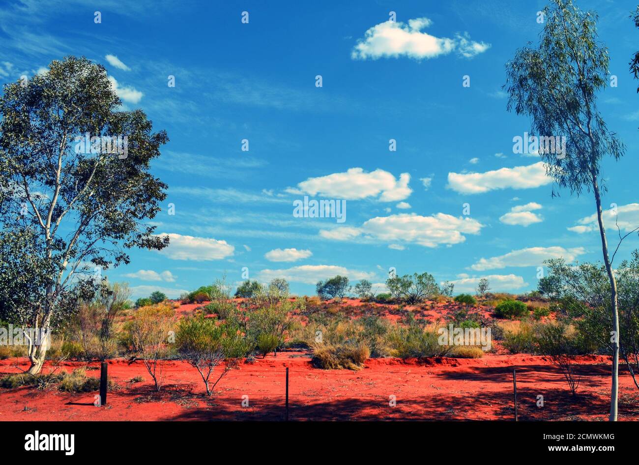 Red dirt, trees, blue sky the Australia outback Stock Photo Alamy