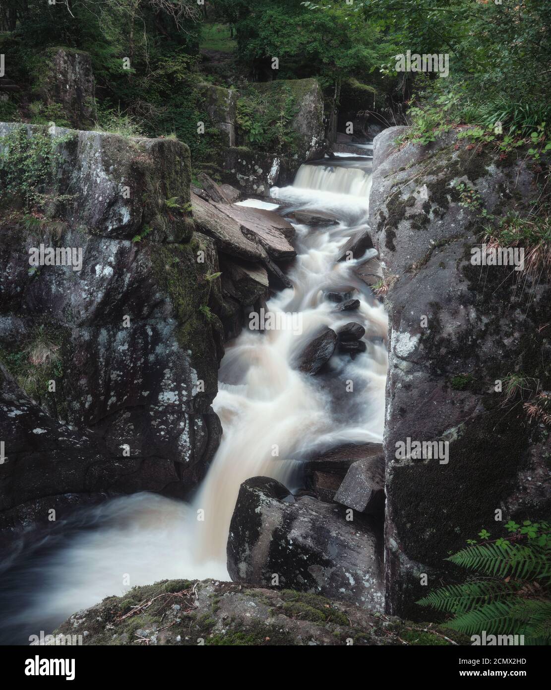 Rapid forest river with a waterfall. Bracklinn Falls, Callander. Loch Lomond and The Trossachs National Park, Scotland. Stock Photo