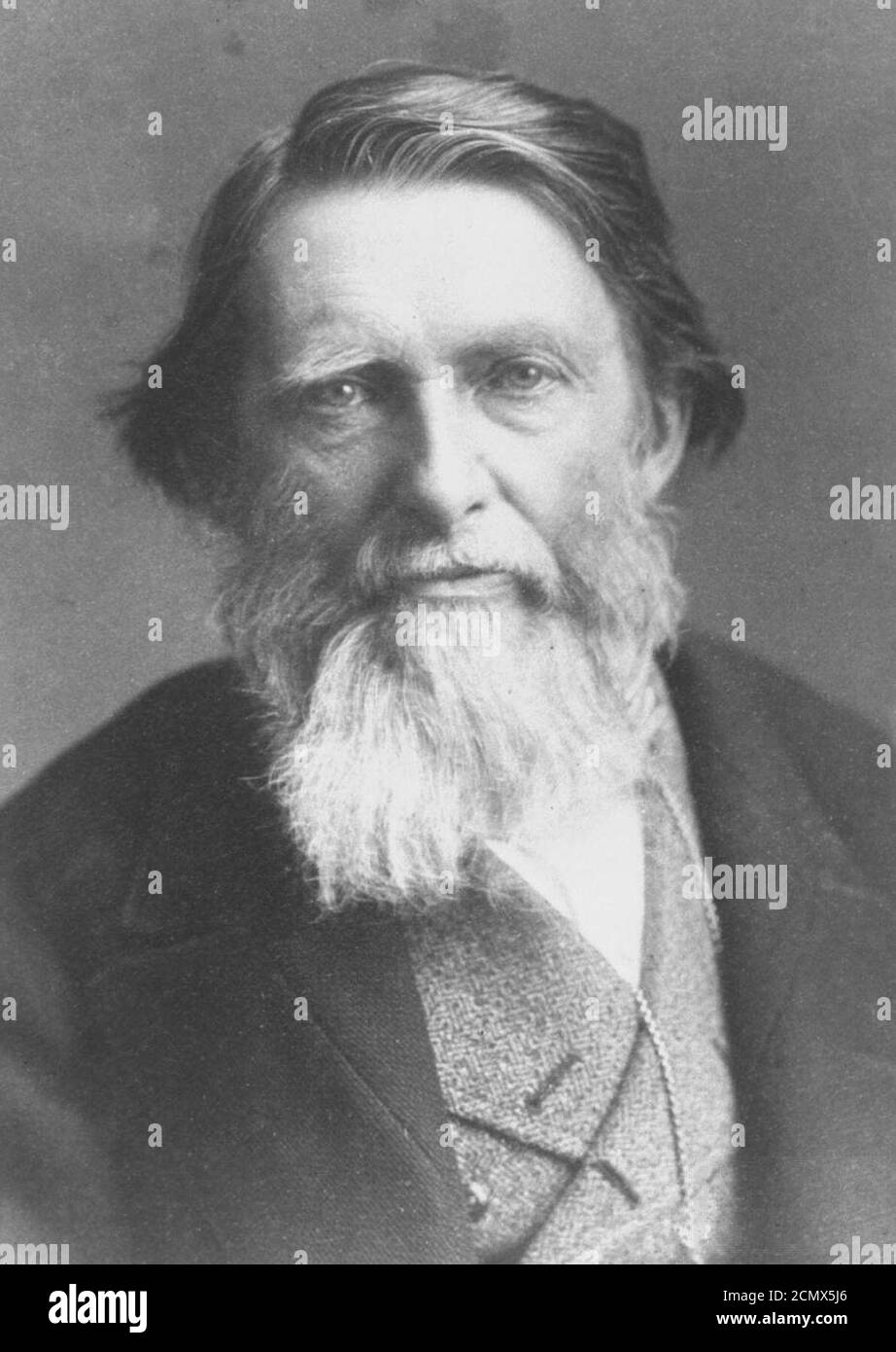 John Ruskin 1879 Stock Photo Alamy