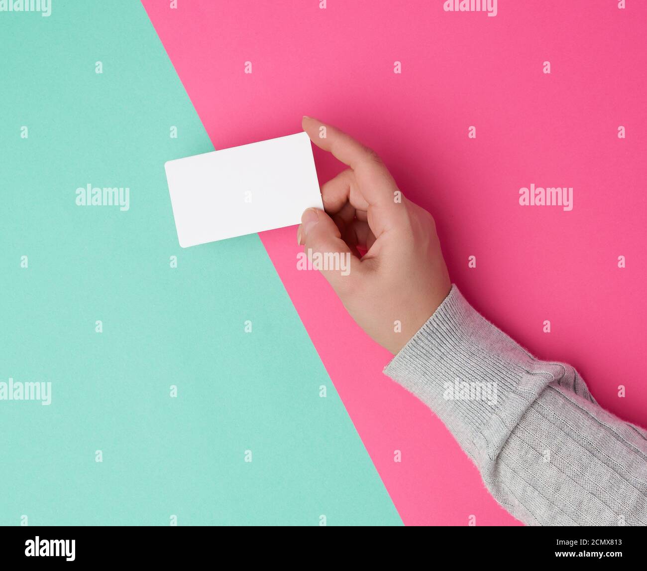 female hand holding empty white paper business Stock Photo