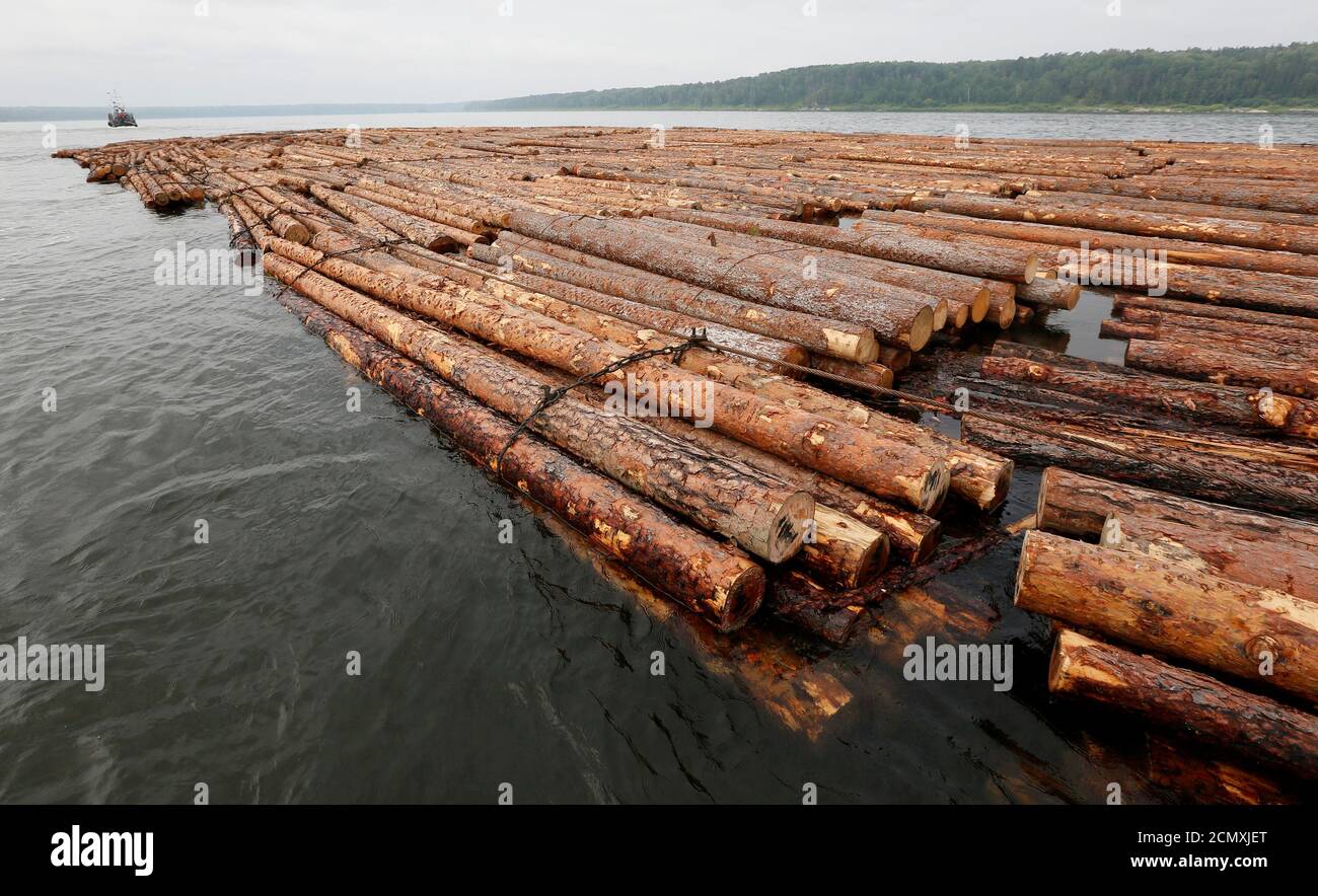 Tow boats pull a 750-metre-long (2461 feet) timber raft to the  Novoyeniseisk wood processing plant down the Angara river near the Siberian  village of Strelka in Krasnoyarsk region, Russia, July 12, 2016.