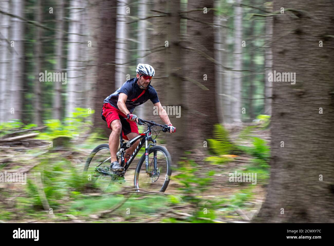 trek bikes alberta