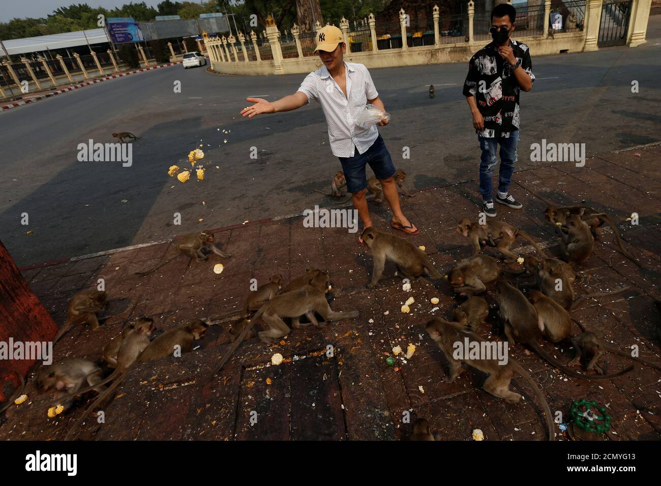 A man feeds monkeys near Prang Sam Yod temple, following significant impact on tourism after the outbreak of coronavirus disease 2019 (COVID-19) spread, in Lopburi, Thailand, March 18, 2020. Picture taken March 18, 2020. REUTERS/Soe Zeya Tun Stock Photo