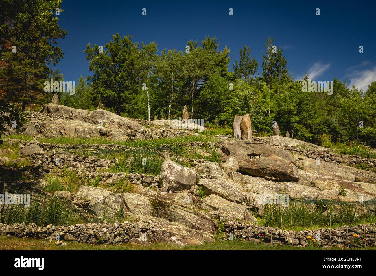 Stone sculptures in the Ellsworth Rock Gardens in Voyageurs National Park, Minnesota Stock Photo