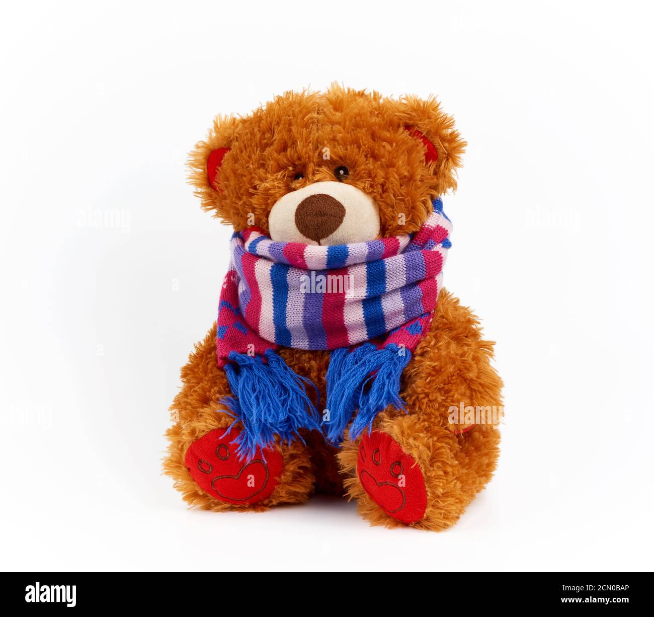 cute brown teddy bear in a colored knitted scarf sitting on a white ...