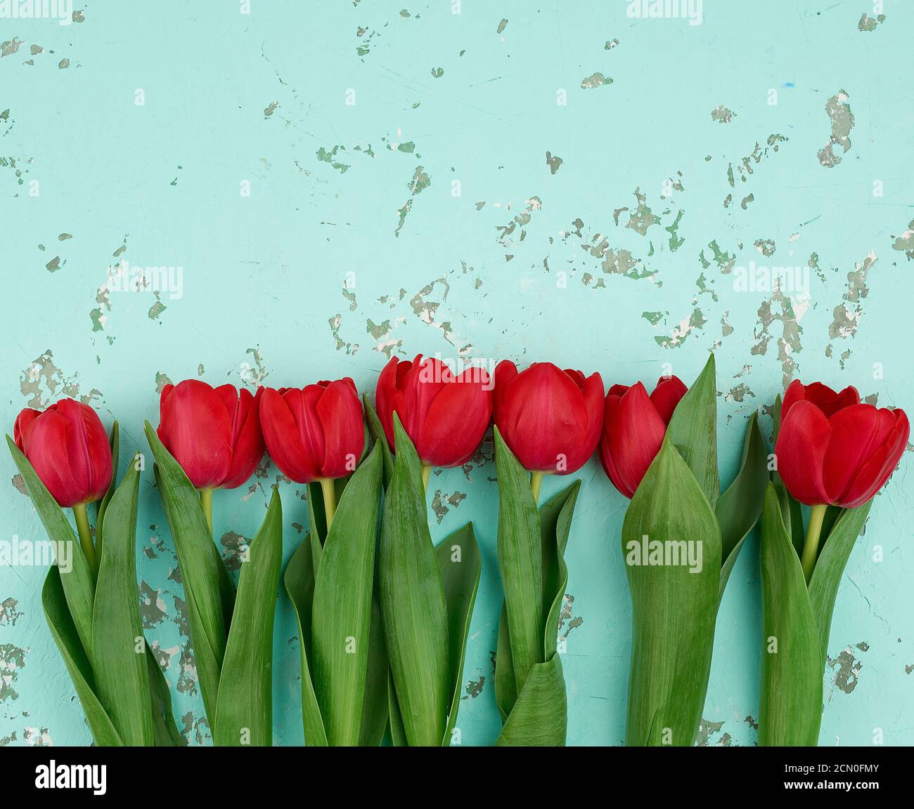 bouquet of red blooming tulips with green stems and leaves Stock Photo ...
