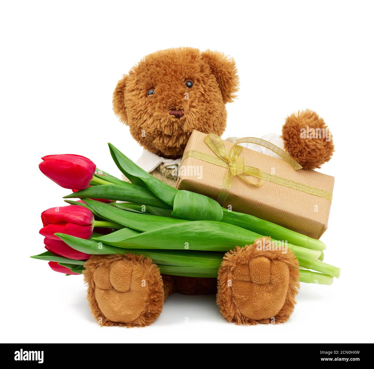 brown teddy bear sits on an isolated white background and holds a box ...