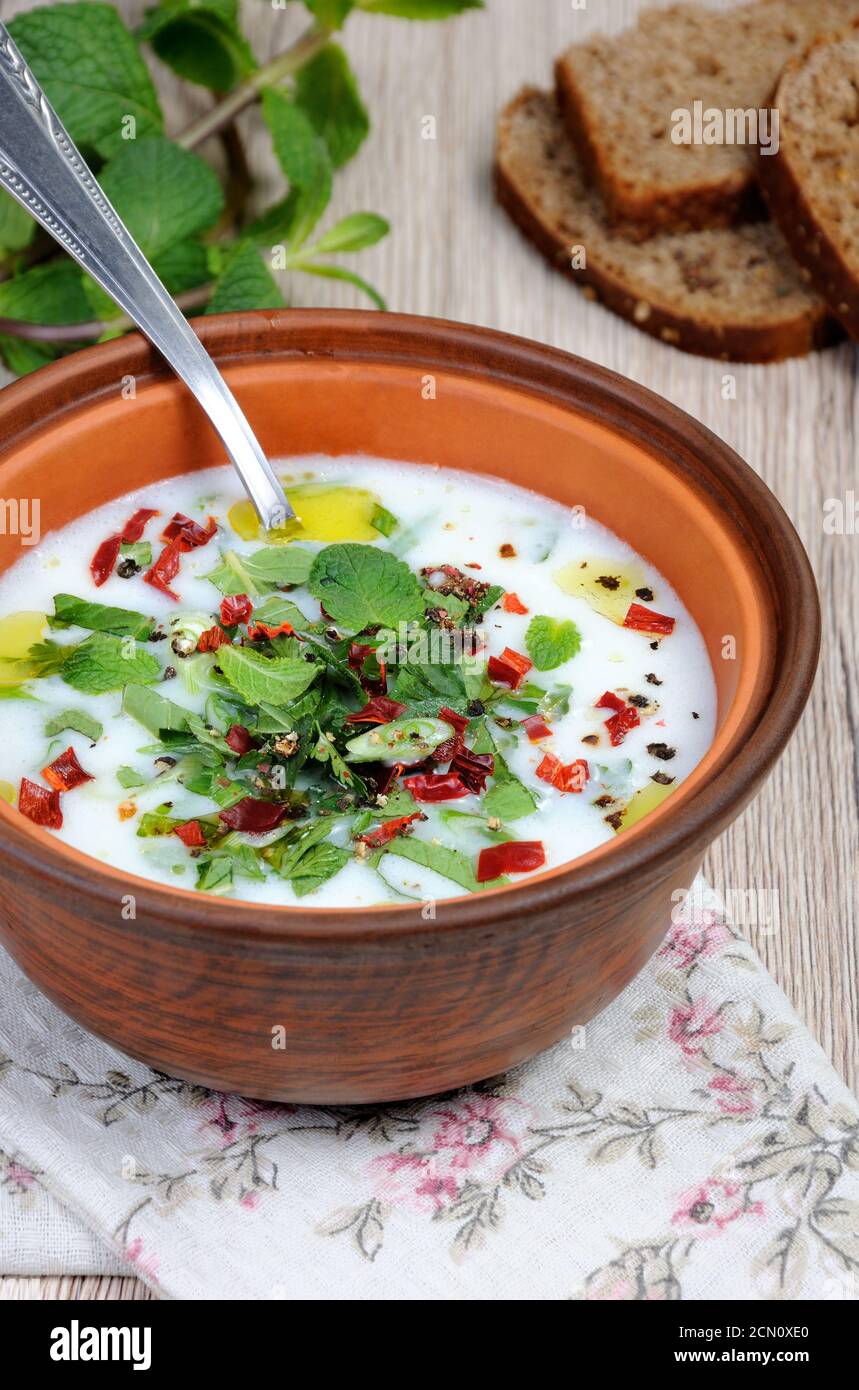 Refreshing сold summer soup the rice, mint and yoghurt, spices Stock