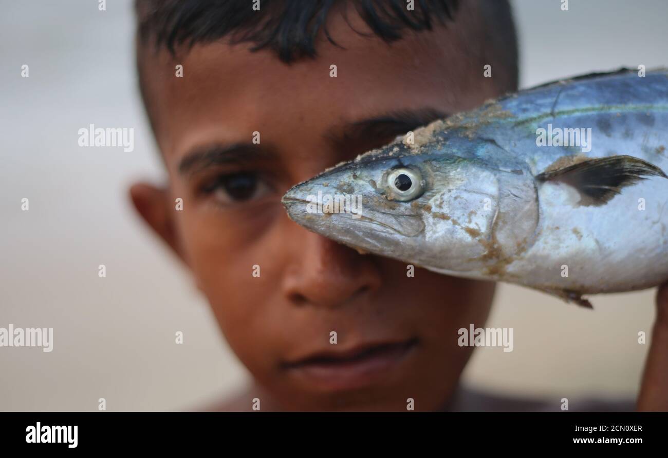 Zumar Fish Central The Gaza Strip, The Gaza Strip, Palestine. 17th Sep, 2020. A ...