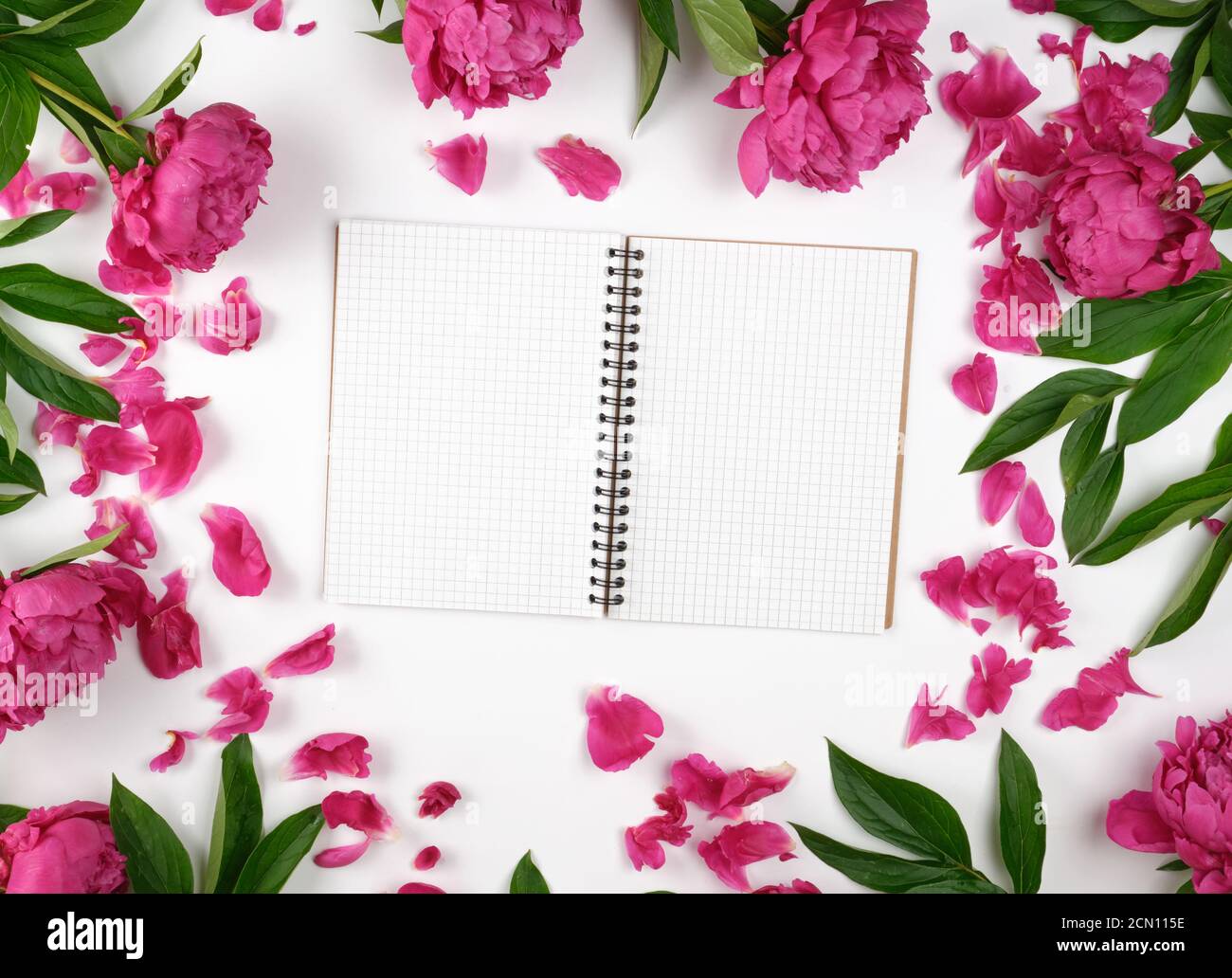 open blank notebook with white sheets and blooming red peonies with green leaves Stock Photo