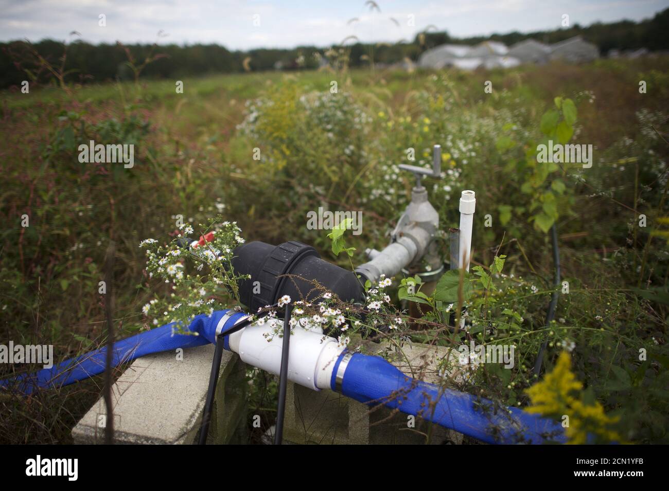 An irrigation pump is seen on the farm of Morris Gbolo, 57, originally from Liberia, in Vineland, New Jersey, October 9, 2015. New Jersey, officially nicknamed 'The Garden State' since 1954, is striving to revitalize its farming sector. It is seizing on trends such as the 'Eat Local' movement, agritourism and ethnic crops that appeal to a growing population of Asian, Hispanic and African residents, including those flocking to Gbolo's fields in Vineland. Picture taken October 9, 2015. To match Feature USA-AGRICULTURE/NEW JERSEY REUTERS/Mark Makela Stock Photo