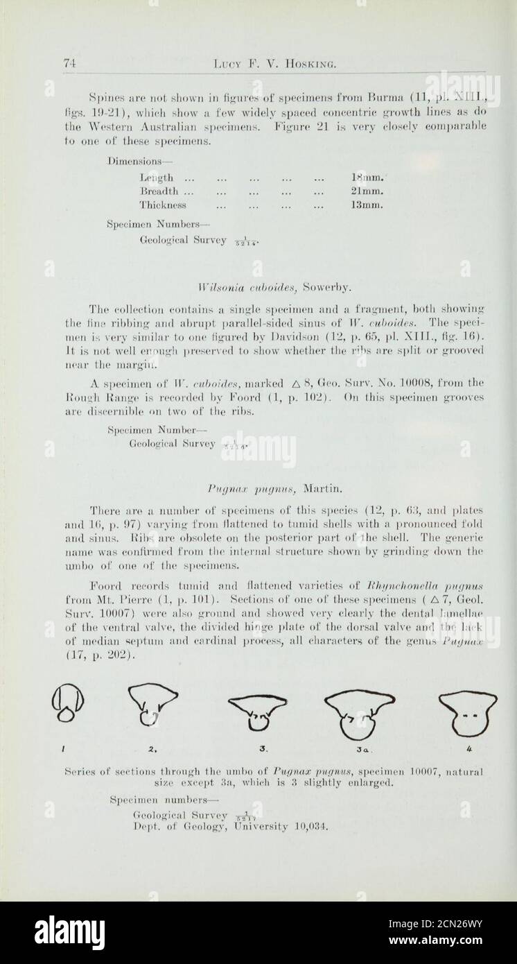 Journal of the Royal Society of Western Australia (Page 75) Stock Photo