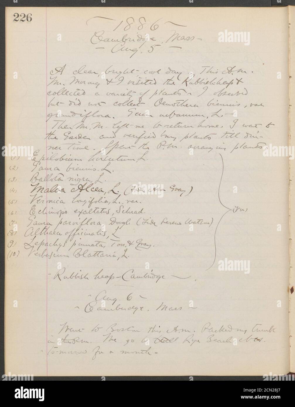 Journal, 1885-1886 (Page 226) Stock Photo