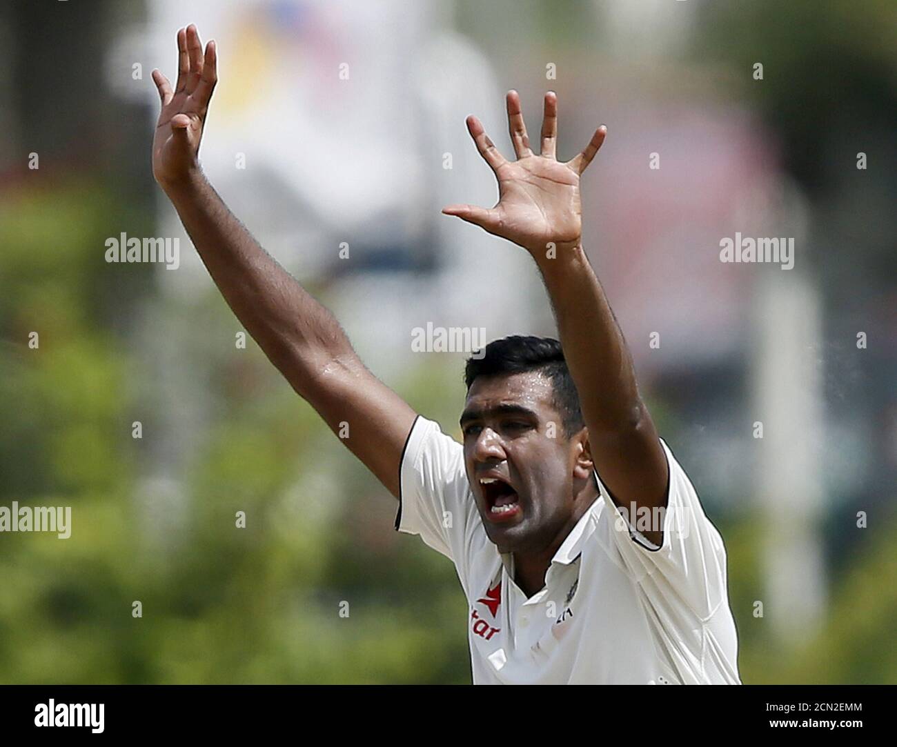 India's Ravichandran Ashwin appeals for an unsuccessful wicket of Sri Lanka Dinesh Chandimal (not pictured) during the first day of their first test cricket match in Galle, August 12, 2015. REUTERS/Dinuka Liyanawatte Stock Photo