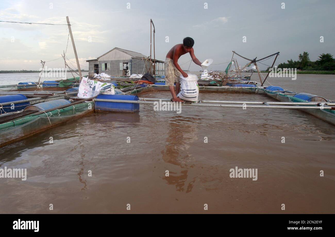 Tilapia farm vietnam hires stock photography and images Alamy