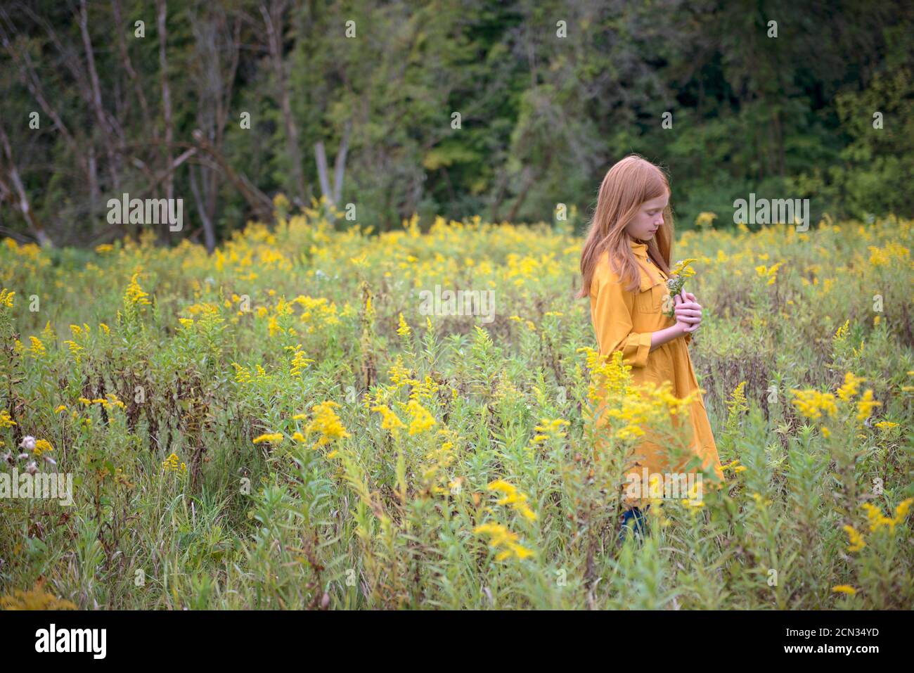 Young Girl in Yellow Dress in a Field of Flowers Stock Photo - Alamy