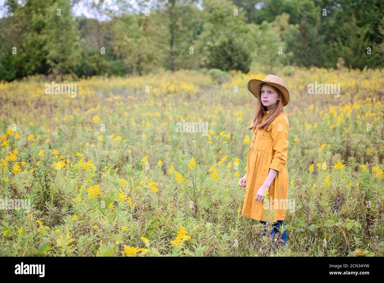 Young Girl in Yellow Dress in a Field of Flowers Stock Photo - Alamy