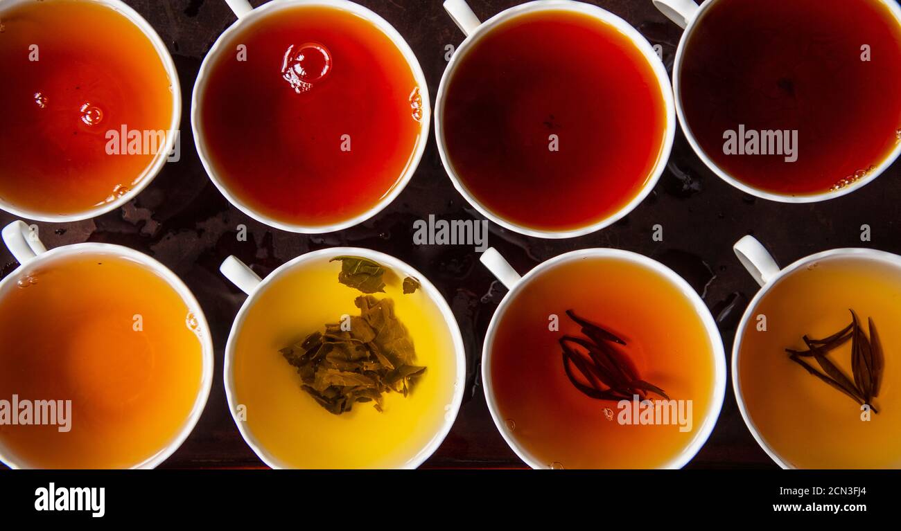 variations of tea strength at tea tasting in Sri Lanka Stock Photo