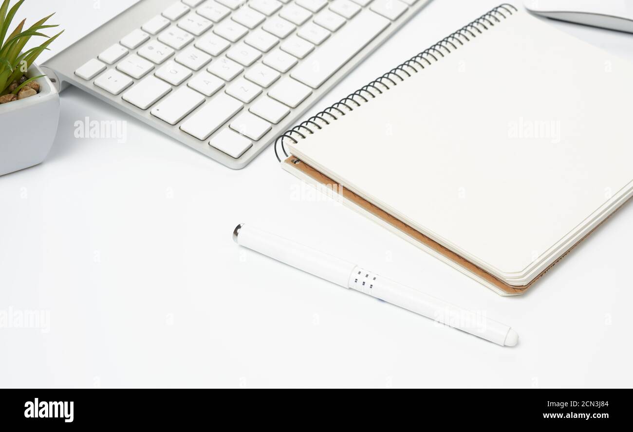open paper notebooks and pen, computer mouse and green plants in a flowerpot on a white table