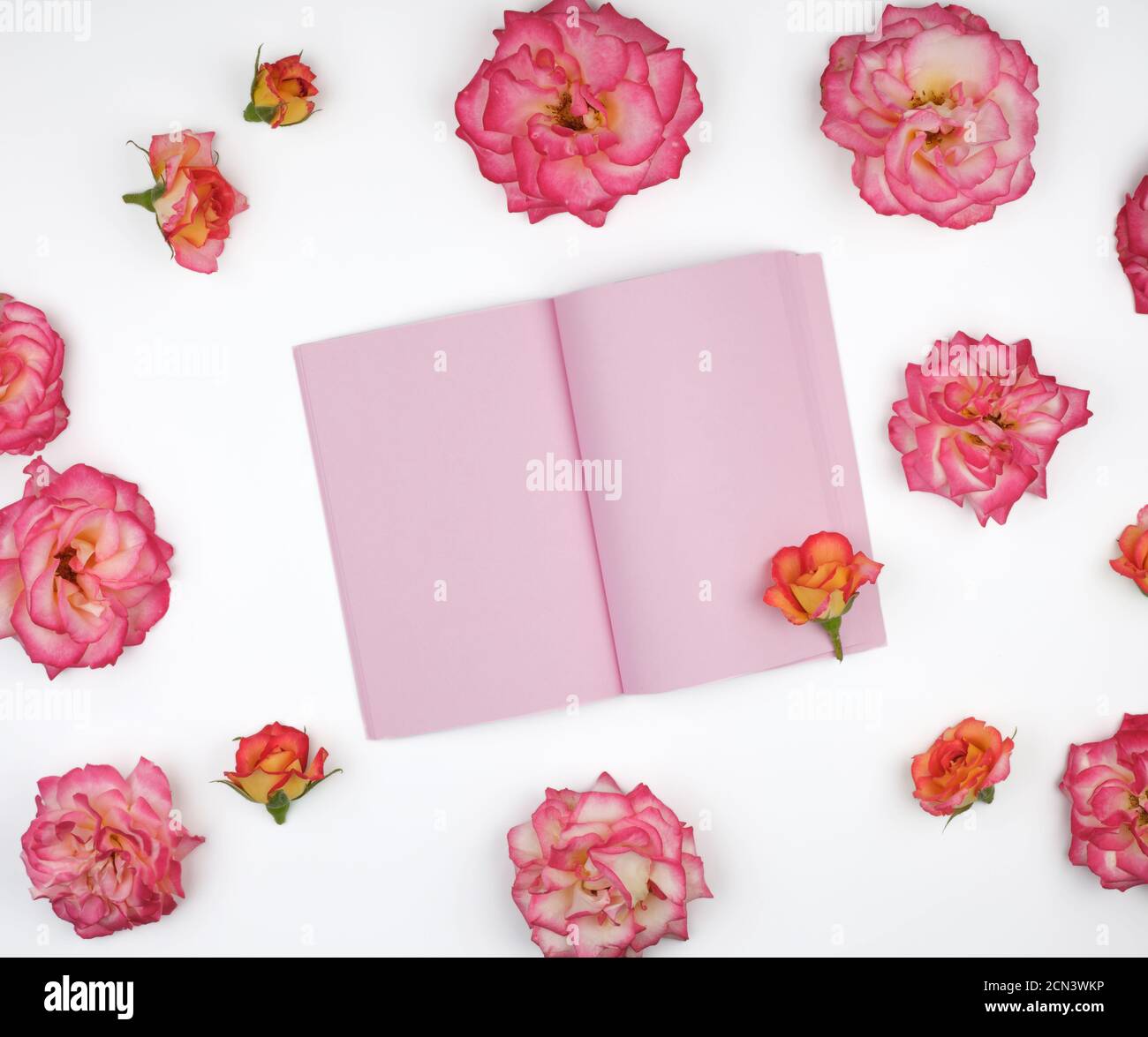 open notebook with pink blank pages on a white background Stock Photo
