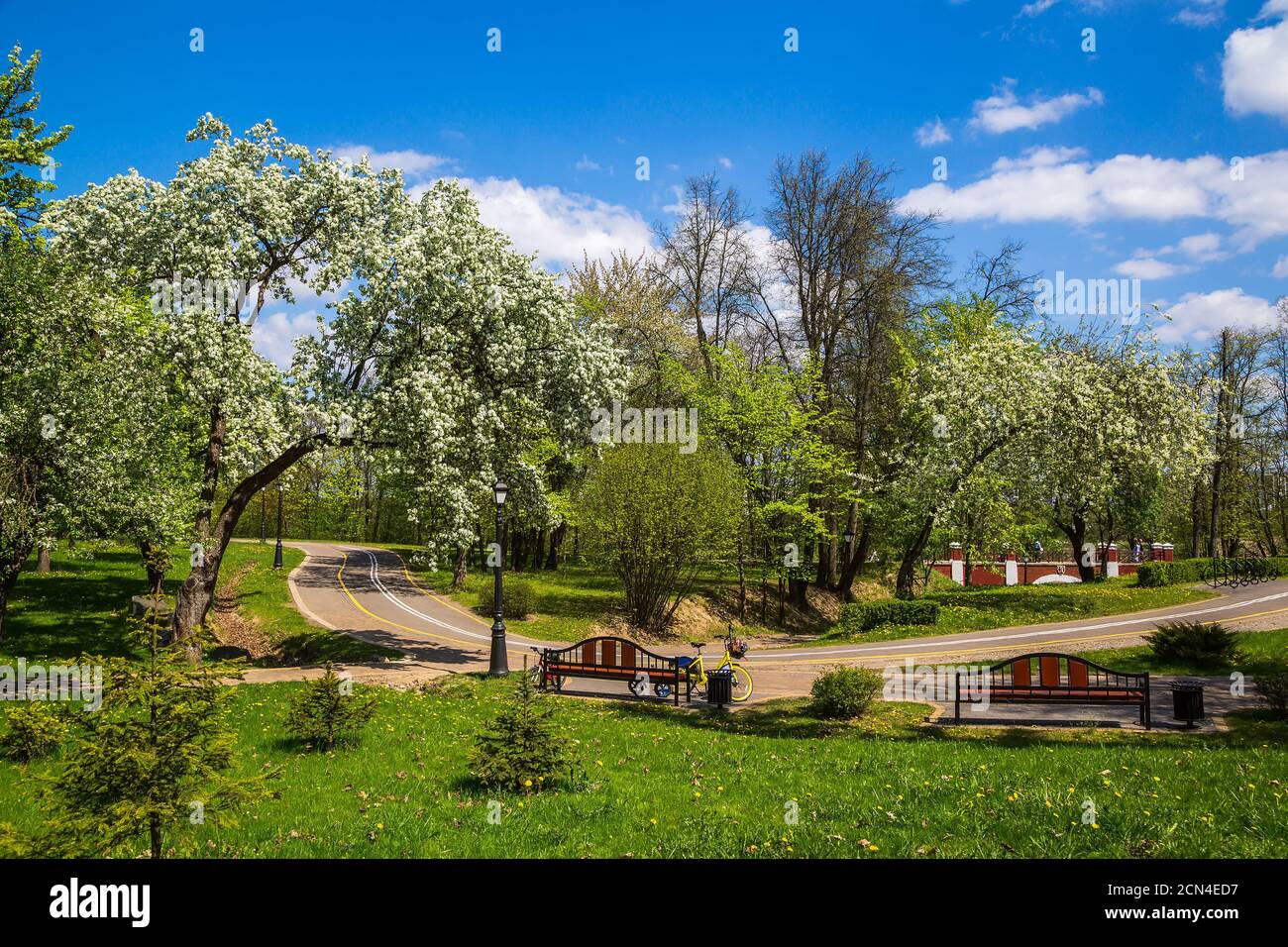 Spring In The City Park ecology hi-res stock photography and images - Alamy