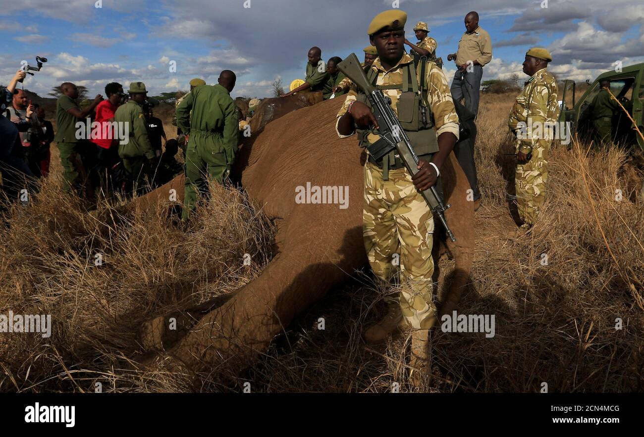 Kenya ranger hires stock photography and images Alamy
