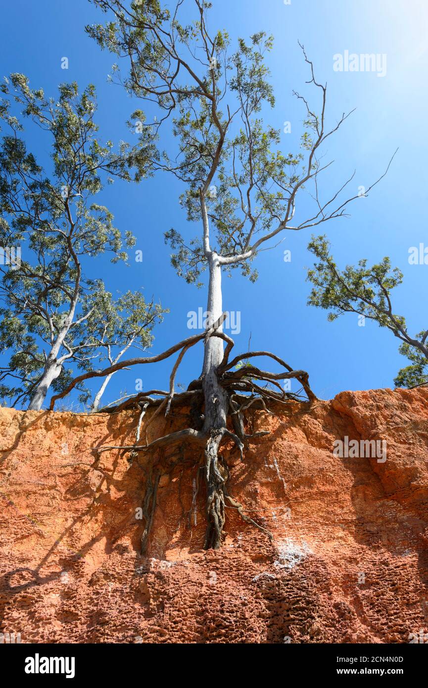 Vertical erosion hi-res stock photography and images - Alamy